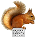 Squirrel group logo