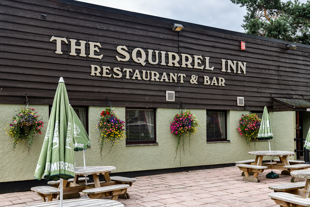 the squirrel inn